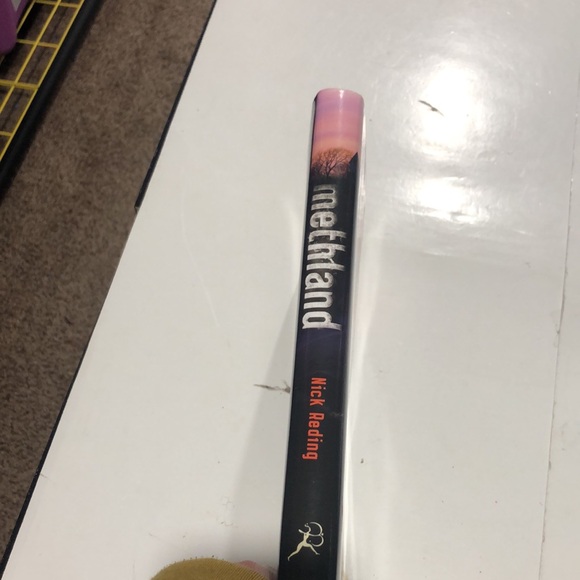 Methland The Death and Life of an American Small Town by Nick Reding - Picture 2 of 6